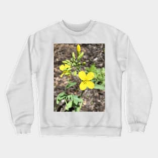 Four Petal Wildflower Crewneck Sweatshirt